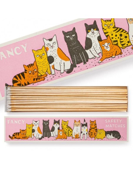 Fancy Cat Safety Matches Archivist | Cerillas