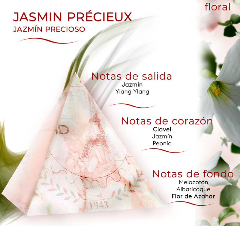 Pirámide olfativa de Jazmín Precioso