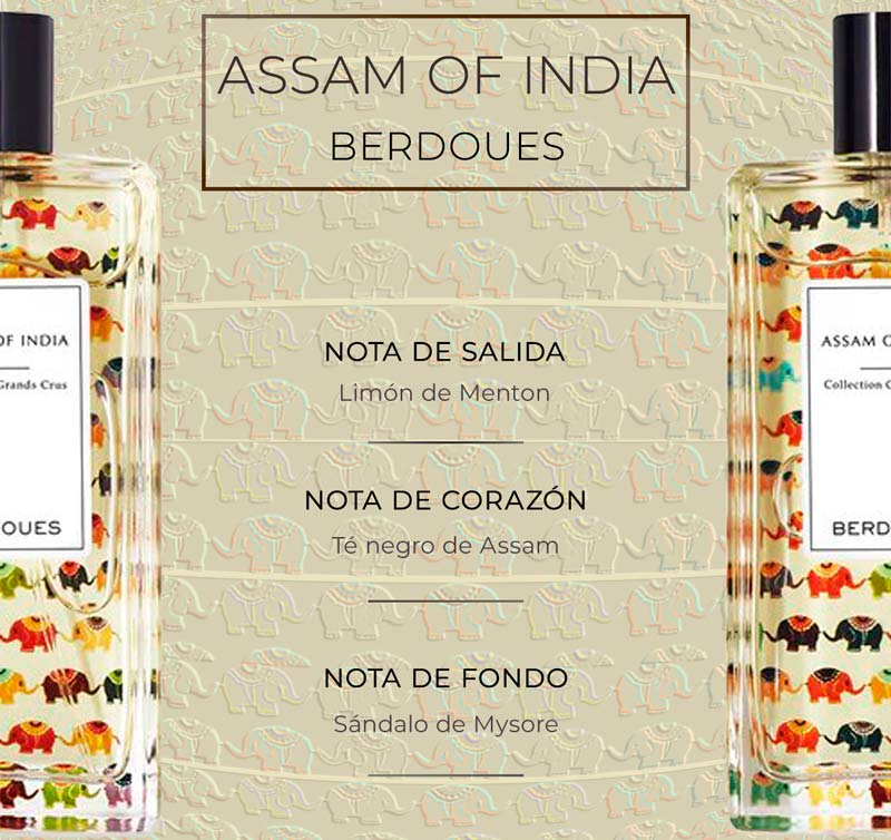 Notas Assam Of India