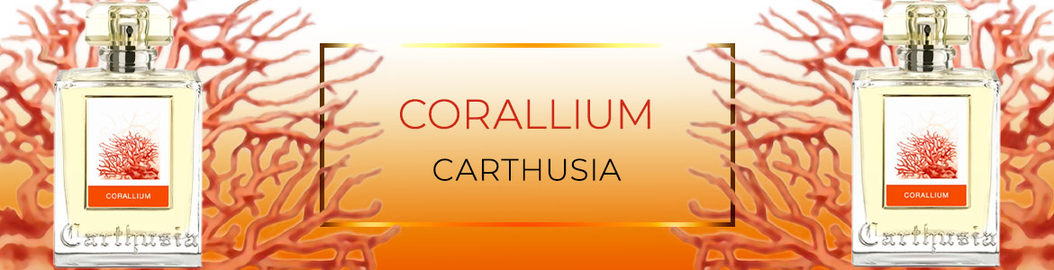 Corallium banner